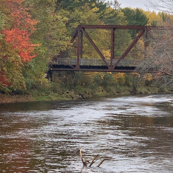 Meet your Posher, Judith - Picture 1 of 1